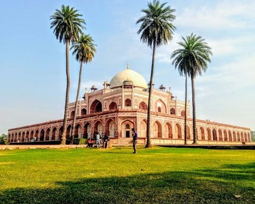 white dome building near palm trees during daytime