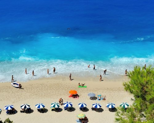 group of people swimming on beach